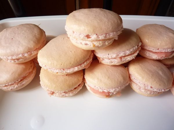 Macarons au bubble gum