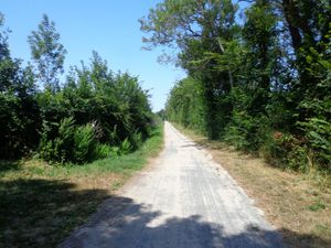 promenade n° 37 de Juillet 2019, &quot;autour de Tonnay Charente&quot;, dans les méandres de la Charente.