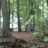 Première séance photo : la profondeur de champs