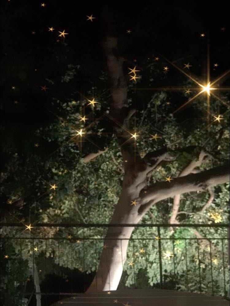 Notte (foto di Maurizio Crispi)