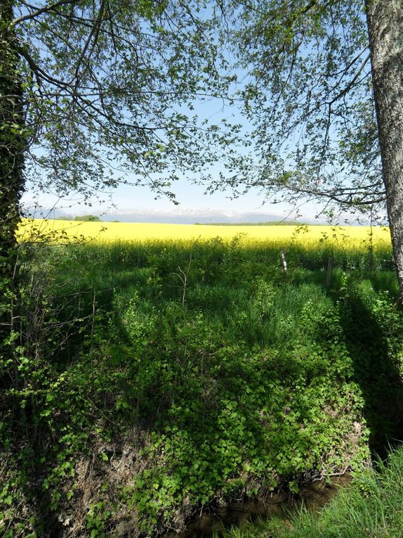 les images du sentier et affiche