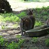 Visite du Parc de la Haute Touche.