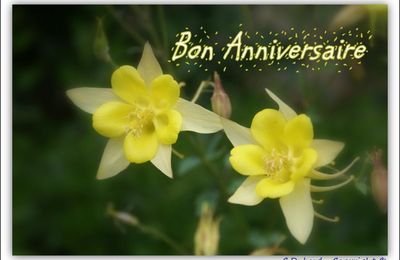 Bon Anniversaire Alexandra...