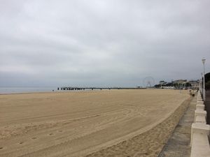 La plage d'Arcachon et sa grande roue, la plage du mouleau et son allée commerçante, le Cap Ferret et son grand arbre vu du bateau