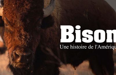 Mille nuances de génocides. Il y en a un qui consiste à exterminer les bisons, principale ressource des Amérindiens et provoquer une famine et donc l'extinction et des bisons et des Premiers habitants. 