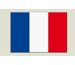 Adhésif autocollant /sticker drapeau France
