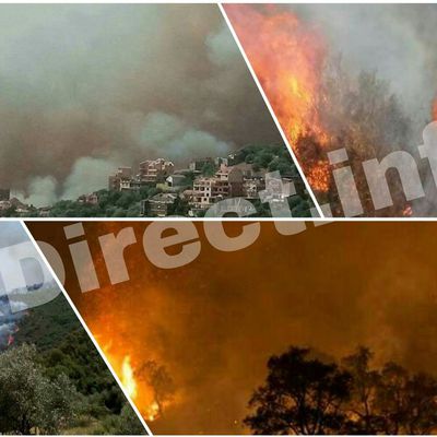ALERTE ROUGE : La Kabylie brûle à huit clos, des forêts et des habitations en flammes. KDirect.info 