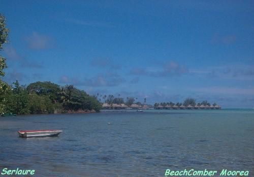 <strong>C'est un petit tour de l'&icirc;le.On arrive par le quai des ferries si on prend&nbsp;la route par la&nbsp;droite,on passe pr&egrave;s de l'hotel Softel Ia Ora et ses bungalows sem&eacute;s dans le lagon.<br />En prenant la route vers la gauche,on suit une bande de sable blond.<br />Le premier motu,le motu Ahi,celui de la pointe d'Afareaitu avant d'atteindre la baie d'Atiha.<br />On s'amuse devant le Tiki du restaurant Pa&icirc;napo qui veut dire ananas.L'&icirc;le de Moorea est sp&eacut