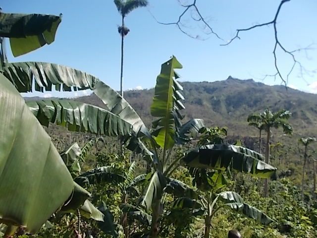 plage, poisson au repas, le Yunque, fete poour la naissance 164 ans de Jose Marti..