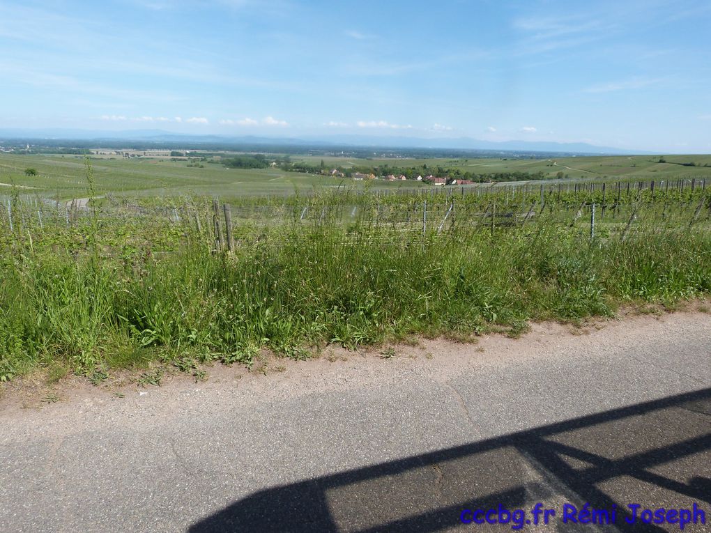 Ribeauvillé (Camping-car-club-Beauce-Gâtinais)