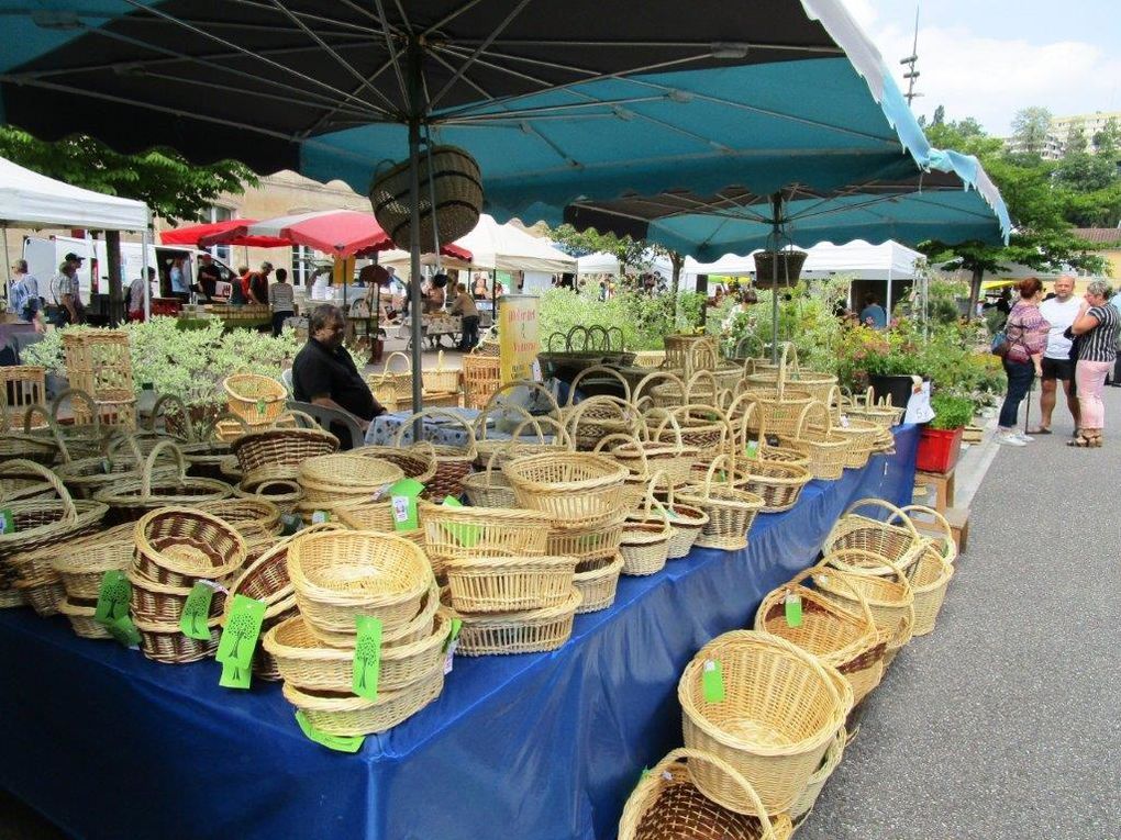 Marché bio &amp; aux plantes 2018