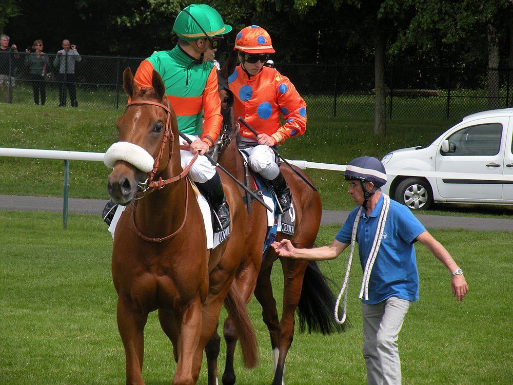 Longchamp (24.05.2015)