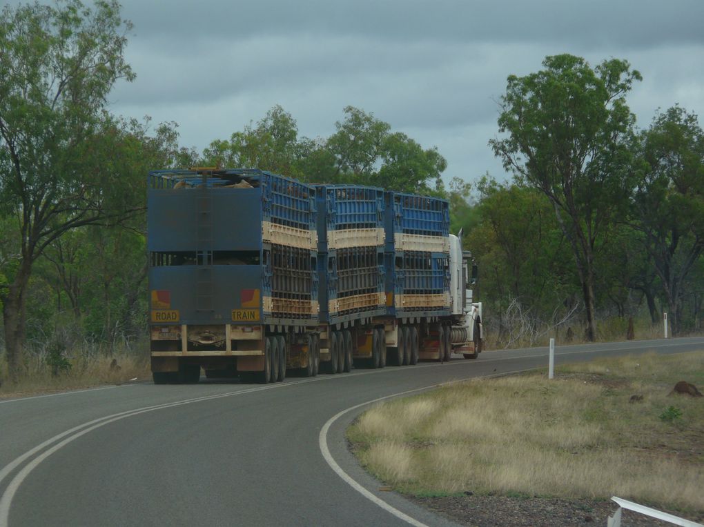 Album - Road-trip-Australie