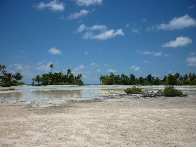 Album - 15.Polynesie-Francaise--iles-des-Tuamotu