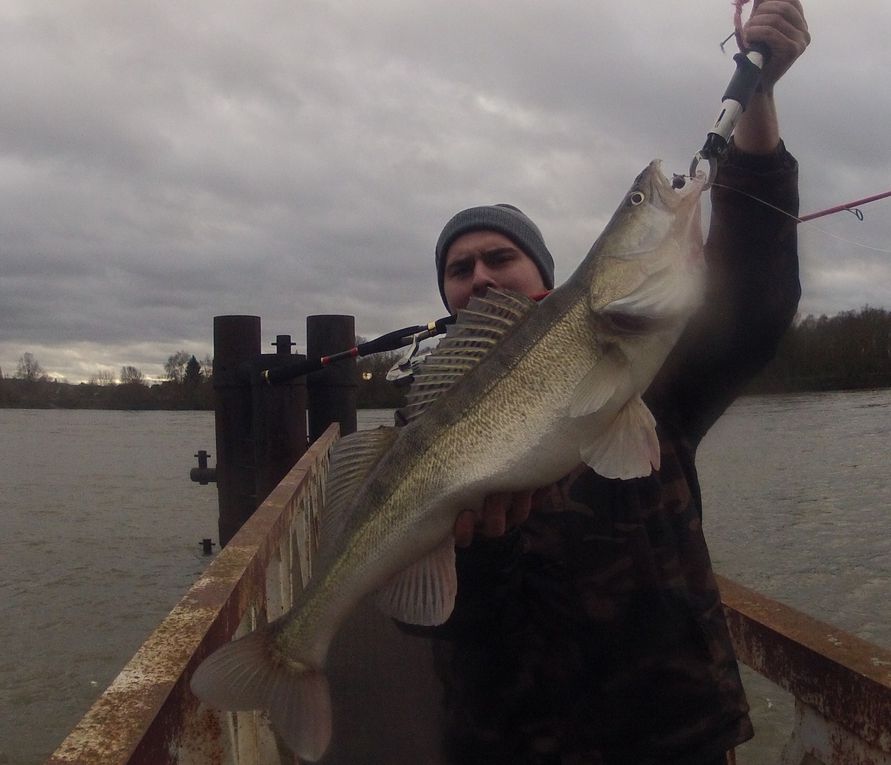 2012 est déja commencer et les fish ne tardent pas à montrer leurs nageoires