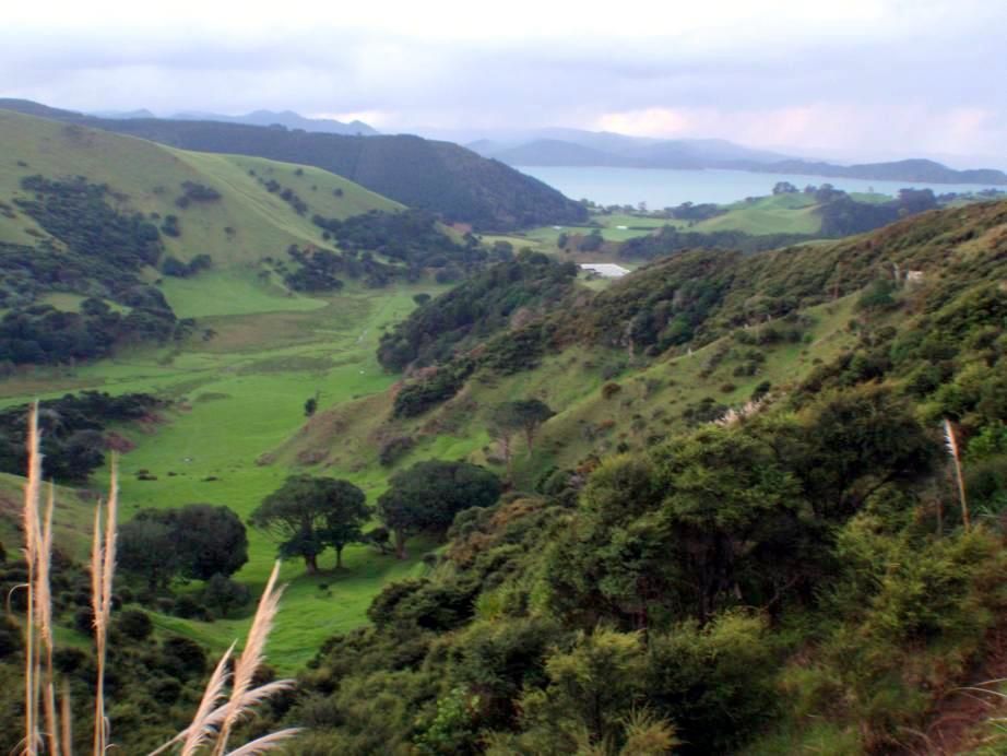 West Coast - Abel Tasman - Picton - Wellington - Taupo - Rotorua - Coromandel Peninsula - Auckland - Waiuku