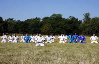 Découvrez le MMA Budo