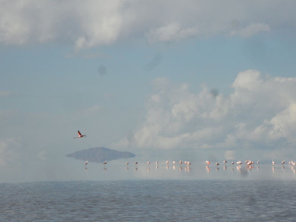 de Salta (Arg) a San Pedro, en passant ppar les salars d'Uyuni en Bolivie : 2 semaines de photos !