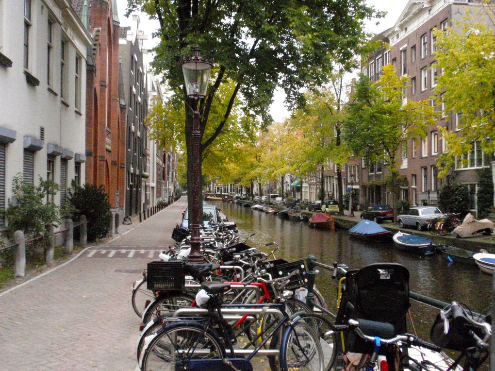 Promenade dans le Jordaan, place du Dam, à l'Artis (aquarium), au musée d'histoire et près de la Westkerk.