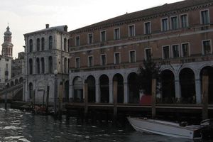 sapins au bord du grand canal