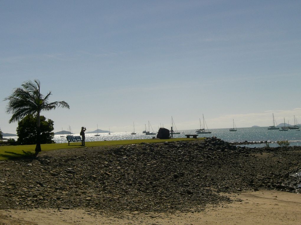 Album - Whitsunday Dive Adventure