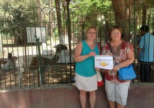 TOUR DE MEDIO DIA AL ZOOLÓGICO DE GIZA EN EL CAIRO