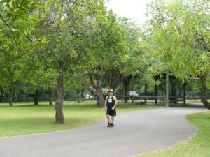 Hier die zweite Ladung an Bildern vom Australia Zoo sowie brandneu von der Lone Pine Koala Sanctuary - enjoy!!!!