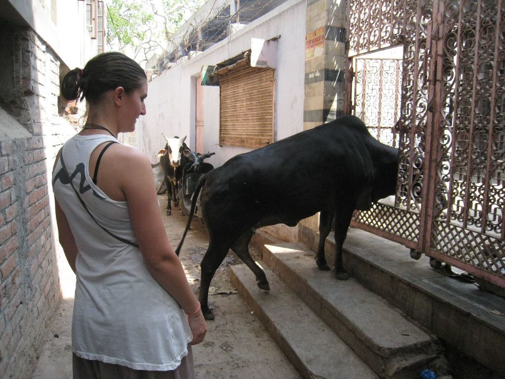 Album - J-345---Varanasi-to-Gwalior