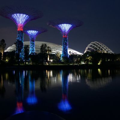 Une journée d'escale à Singapour