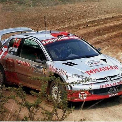Peugeot 206 de Luis Pérez Companc