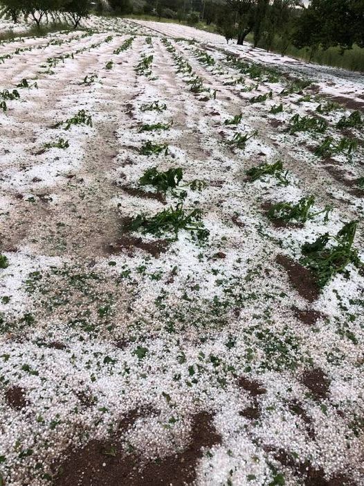 Pourquoi J Ai La Poisse C’est la poisse ! - Processus Croissance