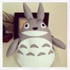 Bref,on aime Totoro.