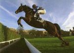 T/Q/Q+ A AUTEUIL 23/03/08