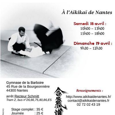 Stage de Kishinkai Aïkido à Nantes, animé par Tanguy Le Vourc'h