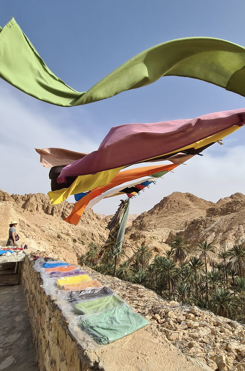 Excursion dans le désert tunisien