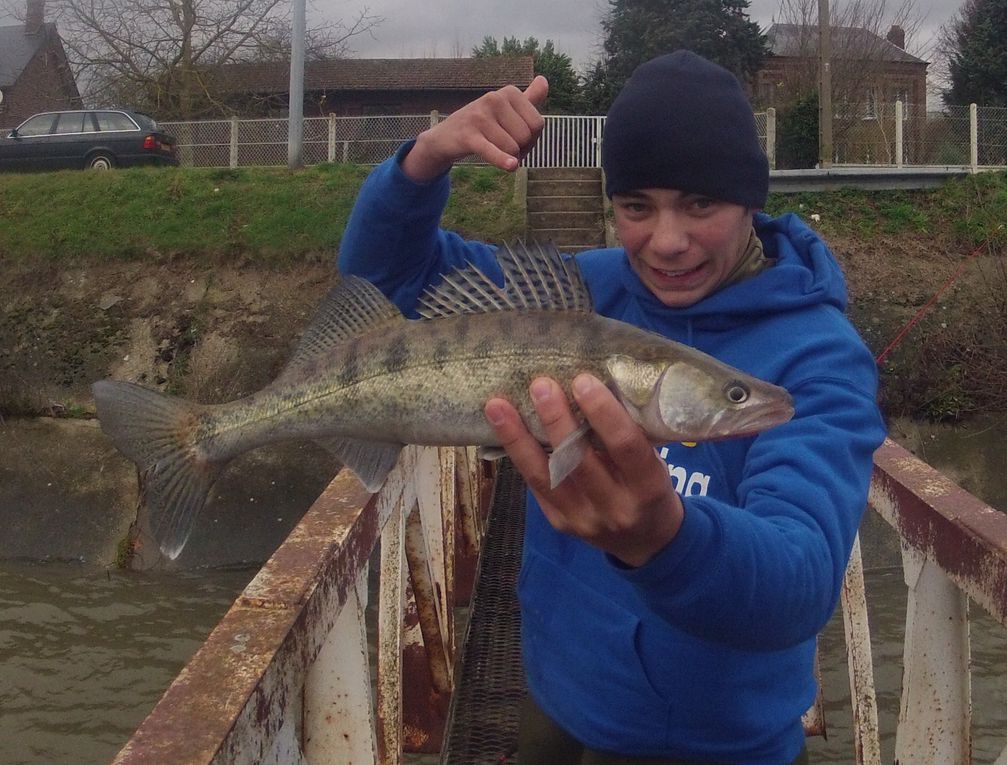 2012 est déja commencer et les fish ne tardent pas à montrer leurs nageoires