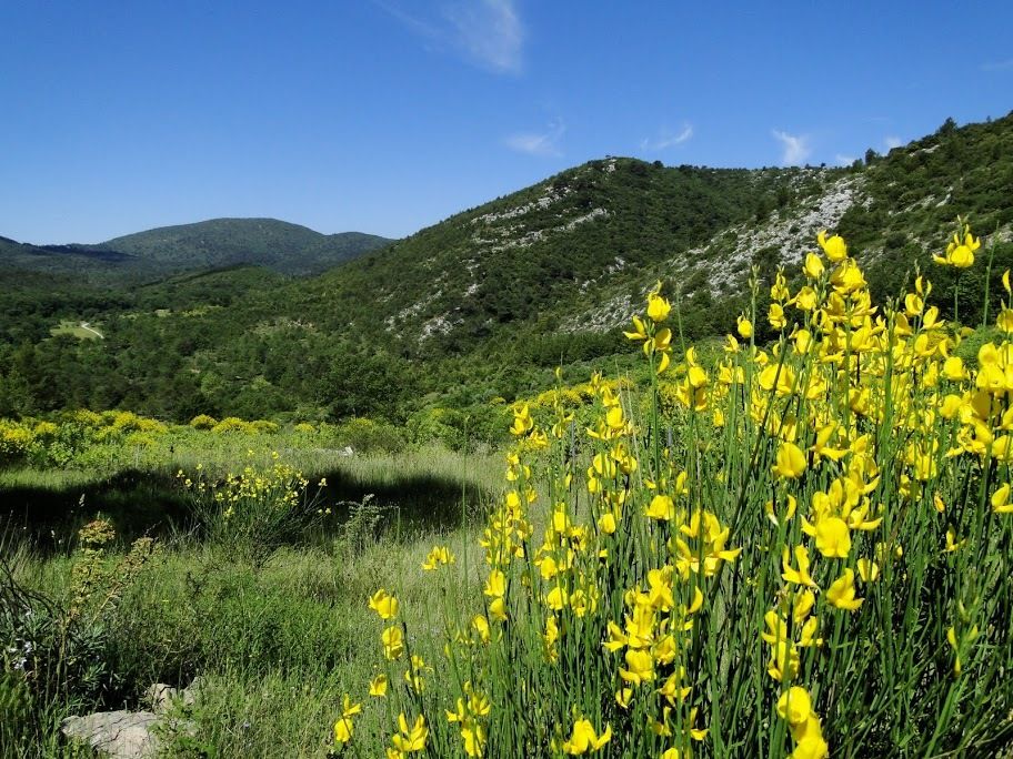De Nans les Pins, la Mantelette, les Sources de l’Huveaune