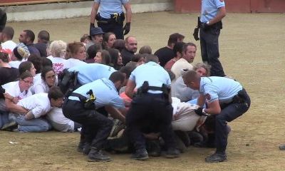 Rion-des-Landes : l'ultra-violence des taurins et de l'Etat français.