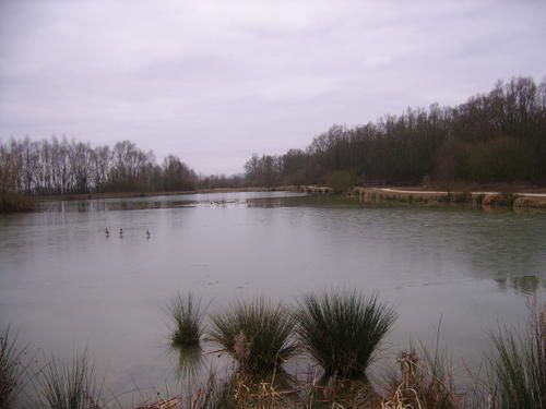 Album - photos anciennes , hiver en chti