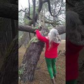 Danse avec le Pin de la dune