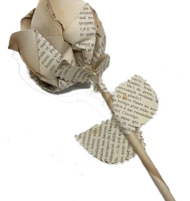 Des roses en papier....