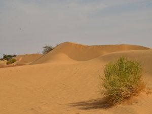 Dans l’Adrar en Mauritanie