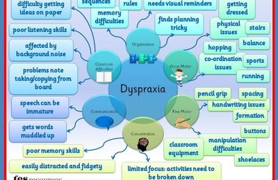Un schéma pour expliquer la dyspraxie