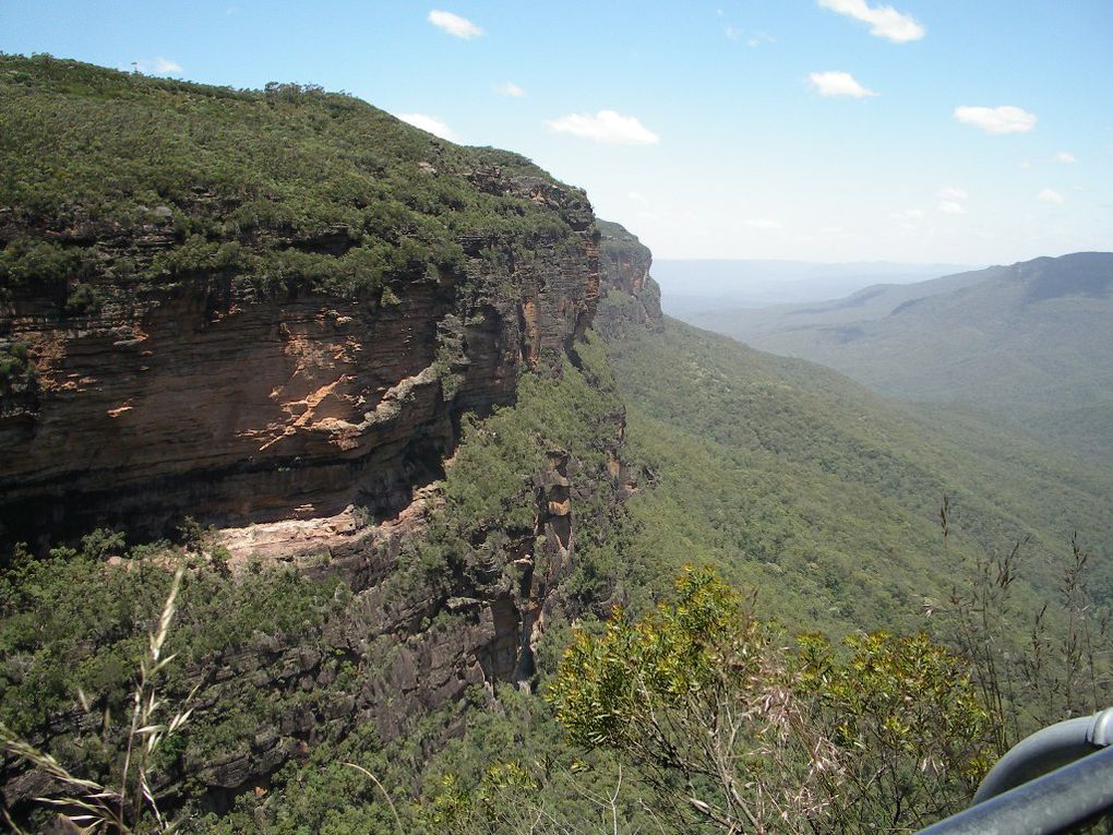Album - The-Ultimate-Oz-Experience---Sydney + Blue Mountains
