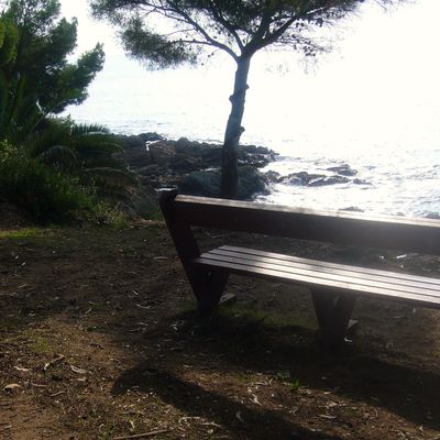 banc entre ombre et lumière