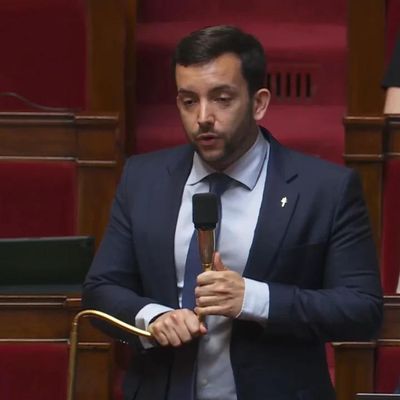 Ecologie : le député Tanguy s'adresse à Mme Voynet
