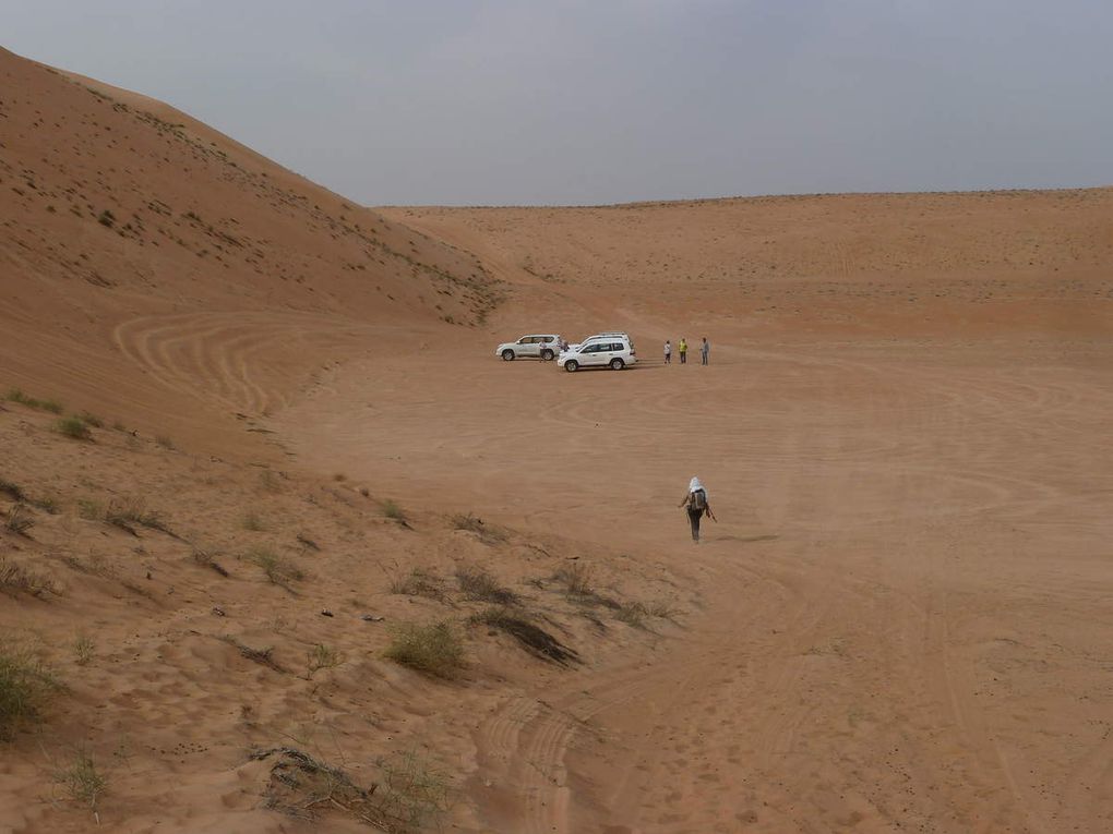 DESERT DES WAHIBAS