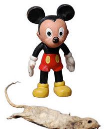 Après tout Mickey n'est qu'un rat : Nicko Rubinstein ose le montrer.