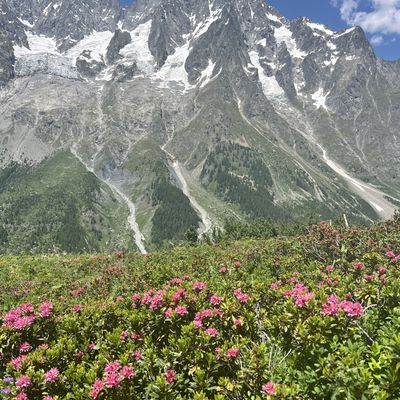 TMB jour 6 : Courmayeur-Refuge Bonattti (Italie)