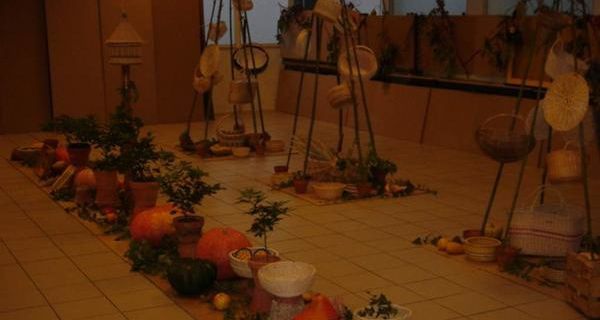 La vannerie en rotin .Paniers ,corbeilles nichoirs, le rotin dans tout ses états.Exposition d'une année de travail